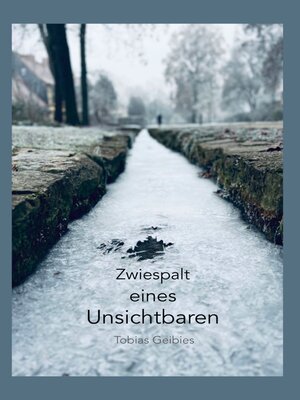 cover image of Zwiespalt eines Unsichtbaren
